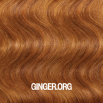 GingerOrg